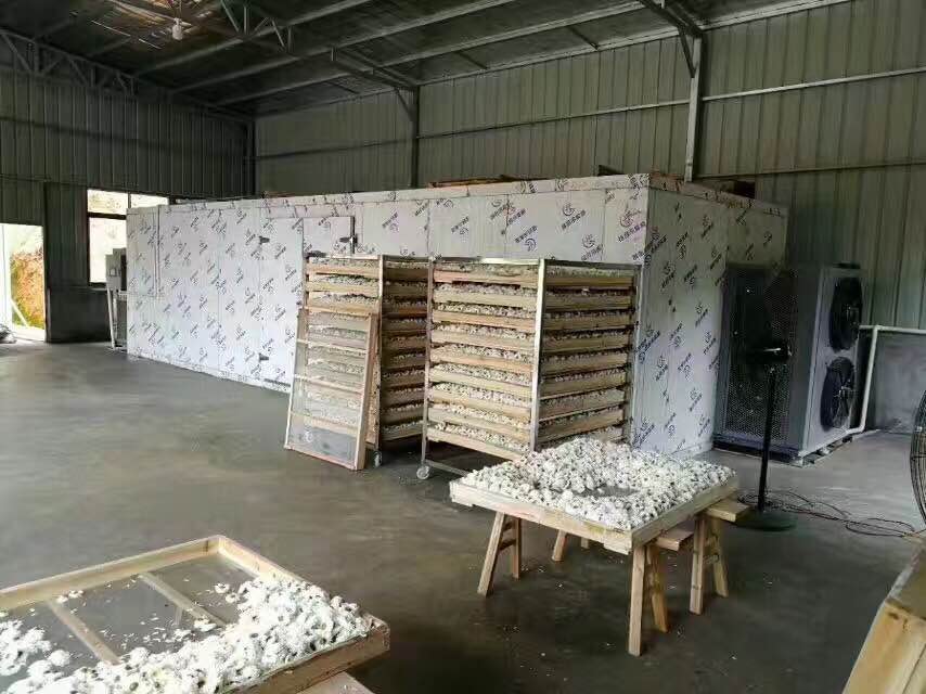 匠心打造！湖南省用金銀花烘干機提升菠蘿原料品質